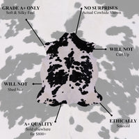 Thumbnail for Zebra Animal Print Natural Cowhide Rug - XX-Large 8' 0