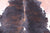 Tricolor Natural Cowhide Rug - X-Large 7'1"H x 6'6"W