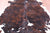 Tricolor Natural Cowhide Rug - X-Large 7'2"H x 6'7"W