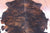 Tricolor Natural Cowhide Rug - Large 6'11"H x 6'5"W