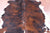 Tricolor Natural Cowhide Rug - Large 6'8"H x 6'0"W