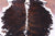 Tricolor Natural Cowhide Rug - X-Large 7'0"H x 6'4"W