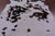 Tricolor Natural Cowhide Rug - Large 6'7"H x 6'0"W