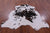 Tricolor Natural Cowhide Rug - Large 6'5"H x 6'3"W