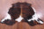 Tricolor Natural Cowhide Rug - Large 6'10"H x 6'1"W