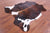Tricolor Natural Cowhide Rug - Large 6'10"H x 6'1"W
