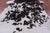 Tricolor Natural Cowhide Rug - X-Large 7'7"H x 6'1"W