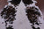 Tricolor Natural Cowhide Rug - Large 6' 7"H x 5' 8"W