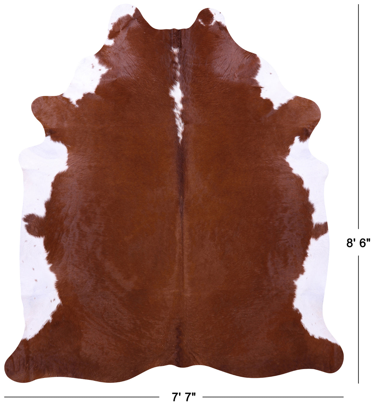Brown & White Natural Cowhide Rug - XX-Large 8' 6"H x 7' 7"W