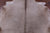 Champagne Natural Cowhide Rug - X-Large 7' 0"H x 6' 8"W