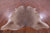 Champagne Natural Cowhide Rug - Large 6' 7"H x 6' 5"W