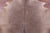Champagne Natural Cowhide Rug - Large 6' 7"H x 6' 5"W