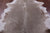 Champagne Natural Cowhide Rug - Large 6' 8"H x 6' 1"W