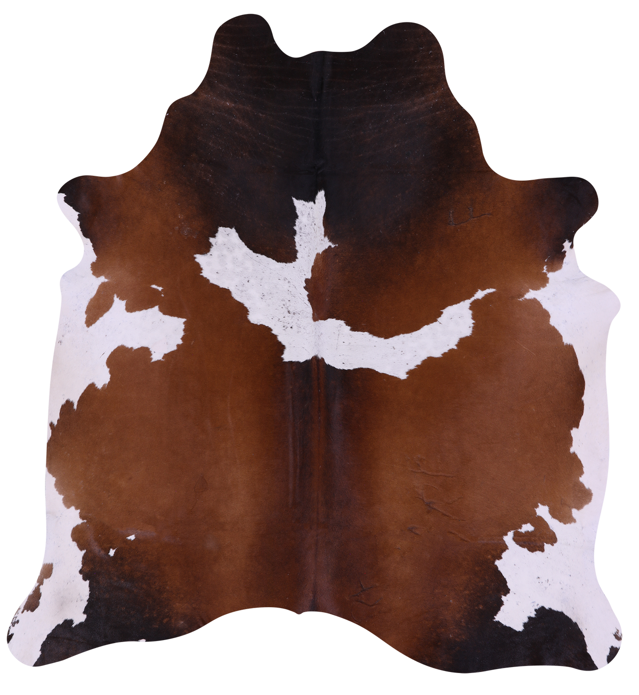 Brown & White Natural Cowhide Rug - Medium 6' 3"H x 5' 7"W