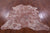 Printed Natural Cowhide Rug - Medium 6'2"H x 6'1"W