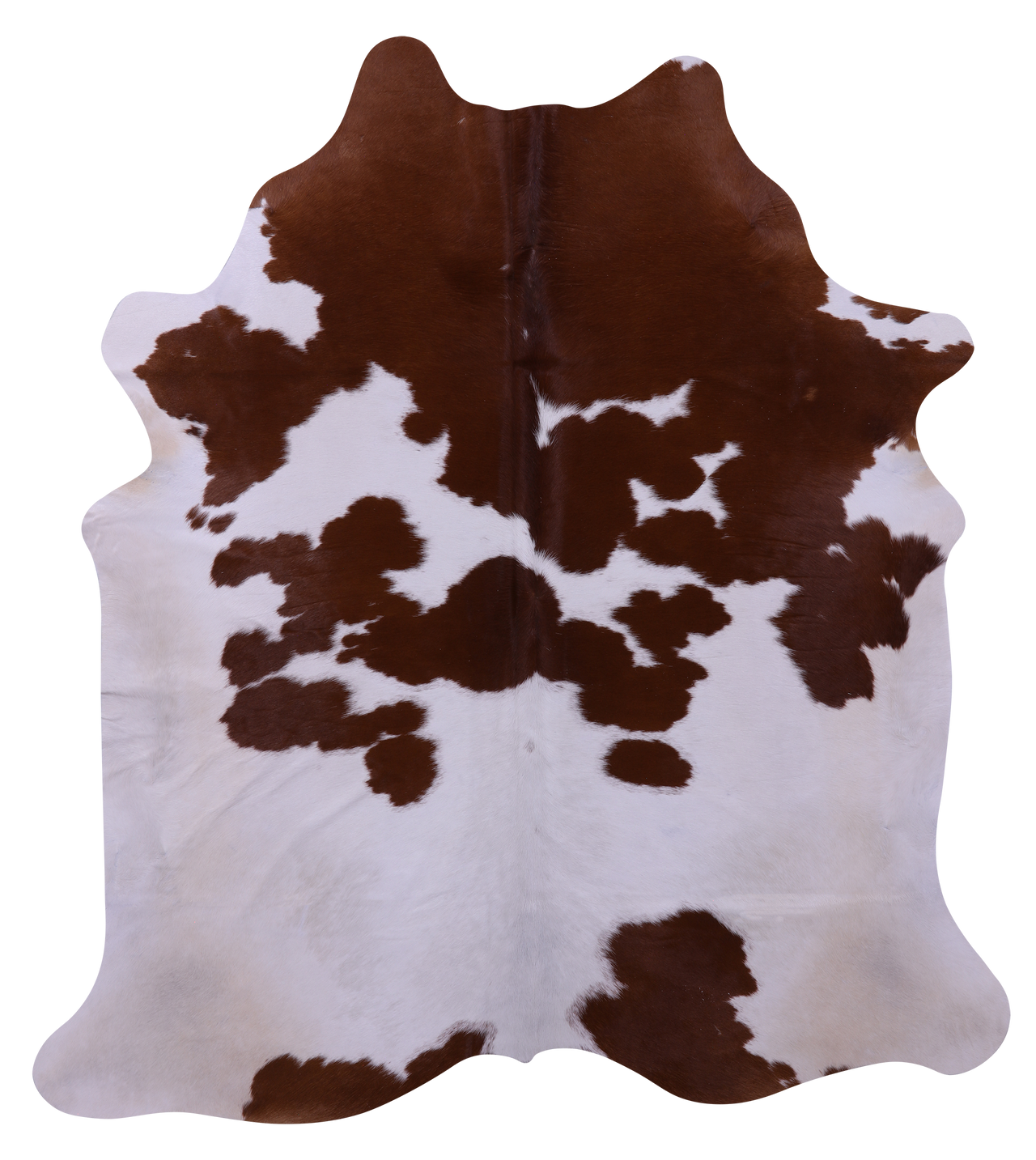 Brown & White Natural Cowhide Rug - X-Large 7' 0"H x 6' 2"W