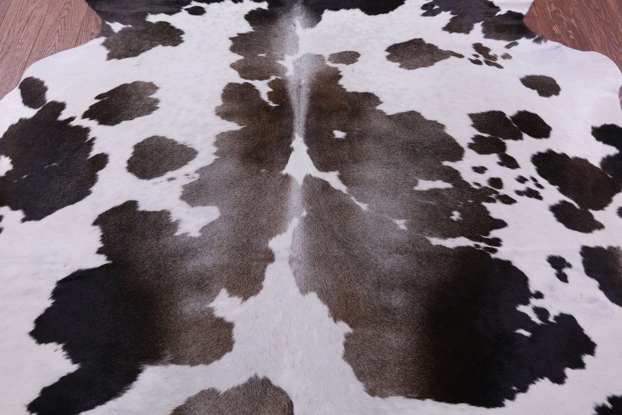 Brown & White Natural Cowhide Rug - X-Large 7' 7"H x 7' 1"W