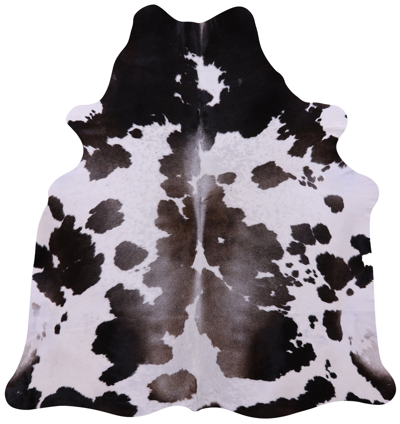 Brown & White Natural Cowhide Rug - X-Large 7' 7"H x 7' 1"W