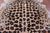 Jaguar Animal Print Natural Cowhide Rug - Large 6' 6"H x 5' 10"W