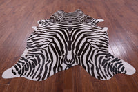 Thumbnail for Zebra Animal Print Natural Cowhide Rug - X-Large 7' 5