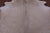 Beige Natural Cowhide Rug - XX-Large 8' 2"H x 7' 0"W