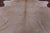 Beige Natural Cowhide Rug - Large 6' 9"H x 6' 4"W