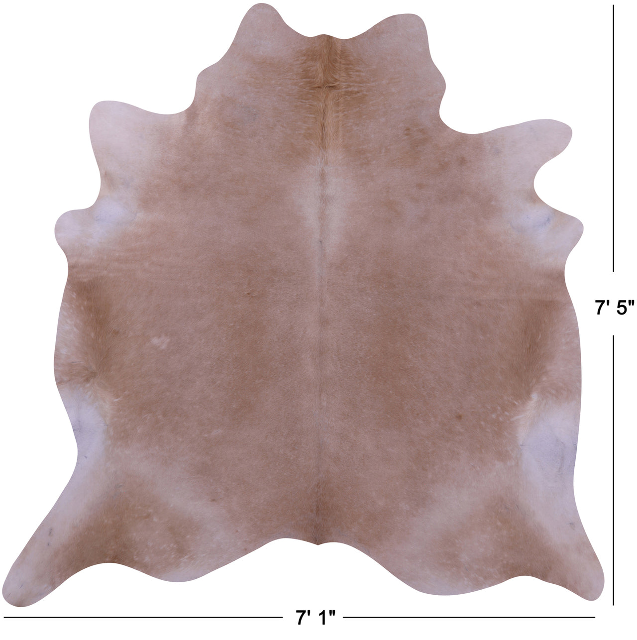 Beige Natural Cowhide Rug - X-Large 7' 5"H x 7' 1"W