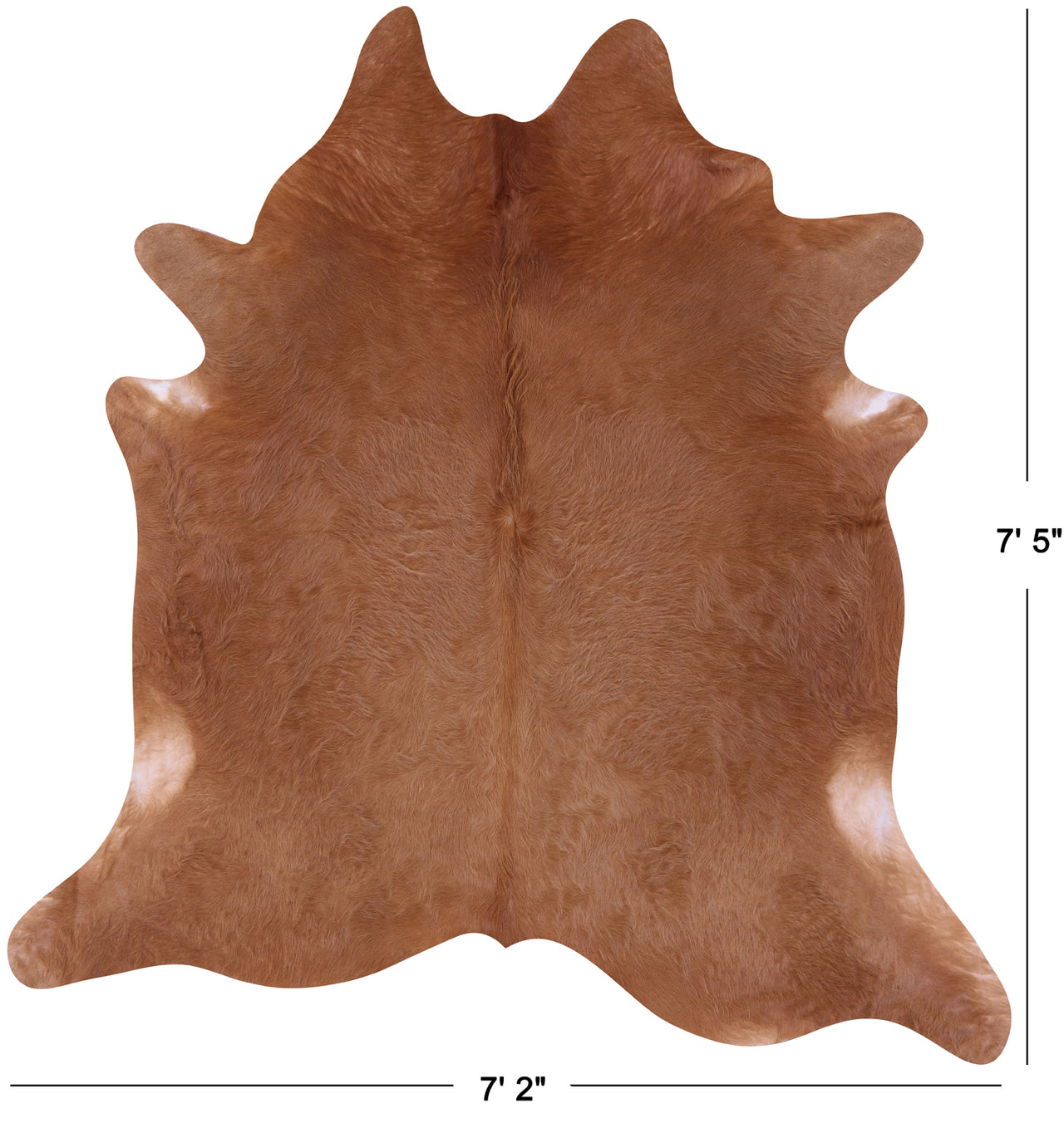 Brown Natural Cowhide Rug - X-Large 7' 5"H x 7' 2"W