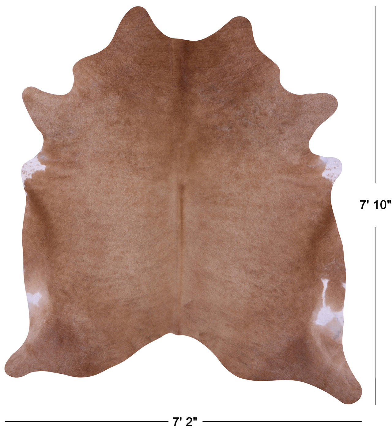 Light Brown Natural Cowhide Rug - XX-Large 7' 10"H x 7' 2"W