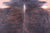 Dark Brindle Natural Cowhide Rug - XX-Large 8' 3"H x 7' 2"W