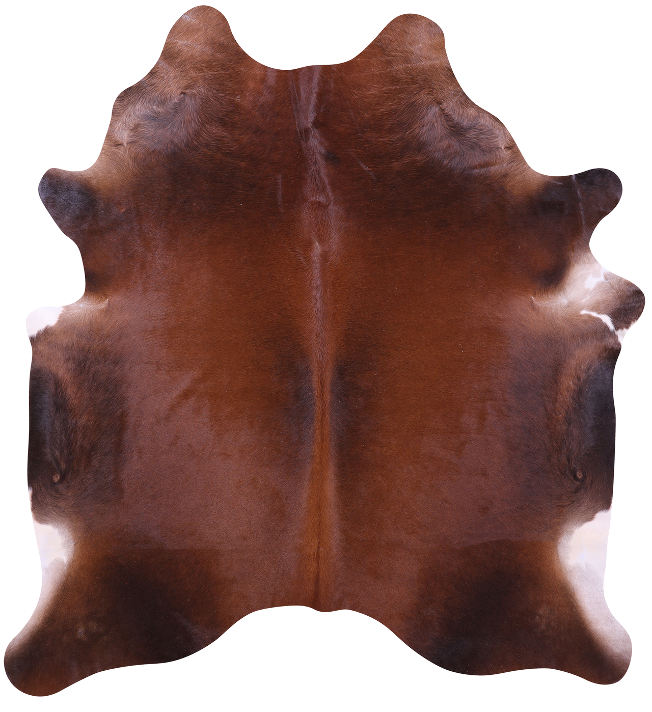 Brown Natural Cowhide Rug - X-Large 7' 0"H x 6' 5"W