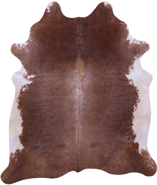 Brown & White Natural Cowhide Rug - XX-Large 7' 8