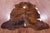 Brindle Brown Natural Cowhide Rug - X-Large 7'1"H x 5'10"W