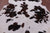 Tricolor Natural Cowhide Rug - X-Large 7'0"H x 6'4"W