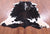Black & White Natural Cowhide Rug - Large 7'3"H x 6'5"W