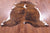 Brindle Brown & White Natural Cowhide Rug - Large 7'0"H x 6'4"W