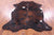 Tricolor Natural Cowhide Rug - X-Large 7'1"H x 6'2"W