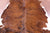 Brindle Natural Cowhide Rug - Large 6'5"H x 5'6"W