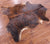 Brindle Natural Cowhide Rug - X-Large 7'0"H x 6'4"W