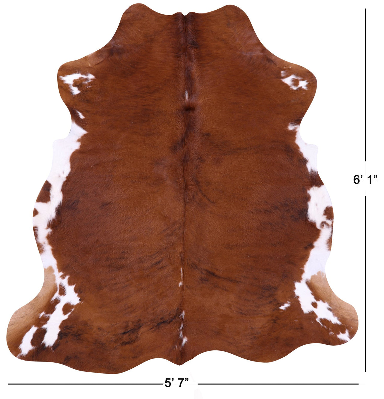 Brown & White Natural Cowhide Rug - Medium 6'1"H x 5'7"W