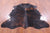 Tricolor Natural Cowhide Rug - Large 6'5"H x 6'3"W