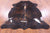 Dark Brindle Natural Cowhide Rug - Large 6'7"H x 6'1"W