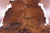 Brindle Natural Cowhide Rug - Large 6'10"H x 5'11"W