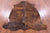 Brindle Natural Cowhide Rug - Large 6'7"H x 5'8"W