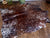 Brown Salt & Pepper Natural Cowhide Rug