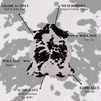 Thumbnail for Zebra Animal Print Natural Cowhide Rug - XX-Large 8' 0