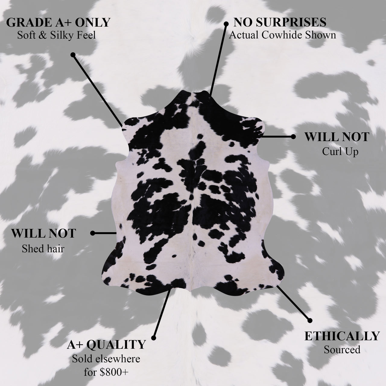 Black & White Natural Cowhide Rug - XX-Large 8'0"H x 6'7"W