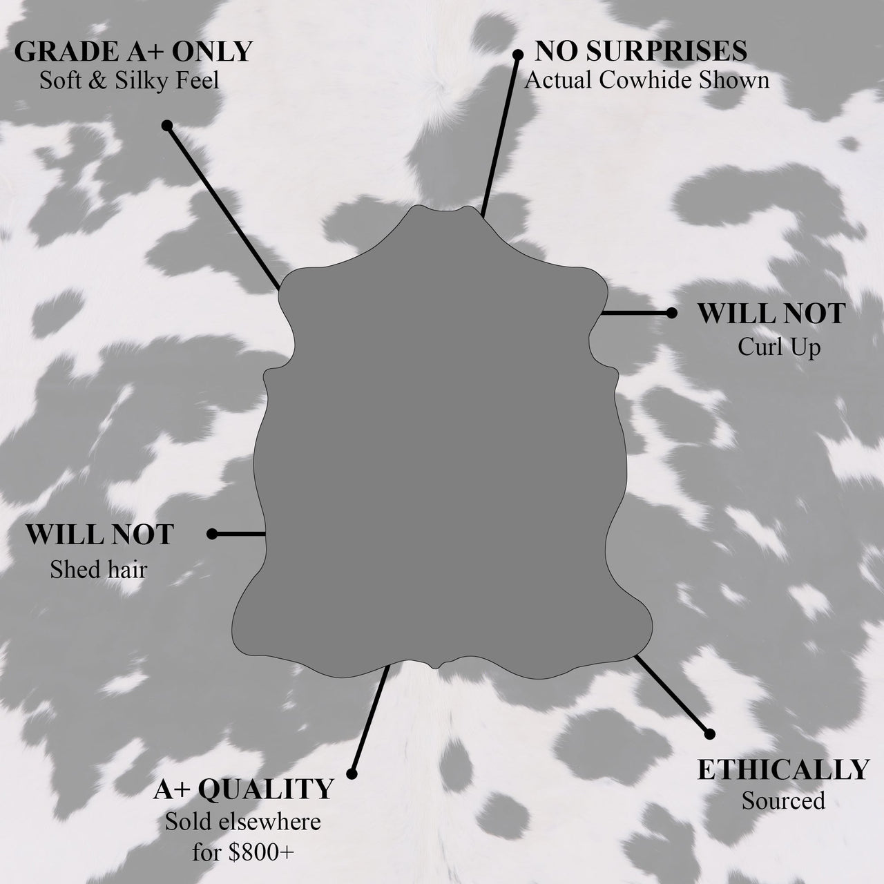 Light Brown Natural Cowhide Rug - XX-Large 7' 10"H x 6' 5"W