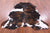 Tricolor Natural Cowhide Rug - Large 6'8"H x 5'10"W