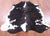 Tricolor Natural Cowhide Rug - Large 6'10"H x 5'5"W